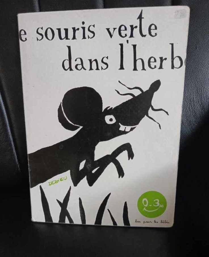 Une très grande souris&nbsp;!!!